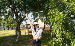 女装正太是什么